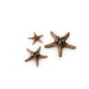 biOrb Sea Star set 3 natural ORN SFA103N