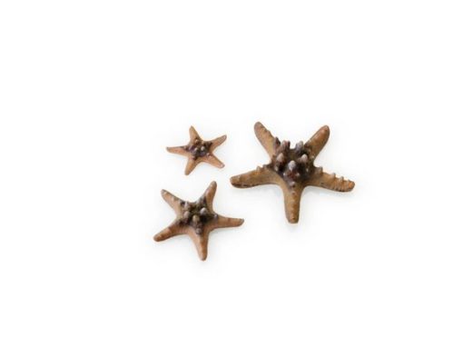 biOrb Sea Star set 3 natural ORN SFA103N