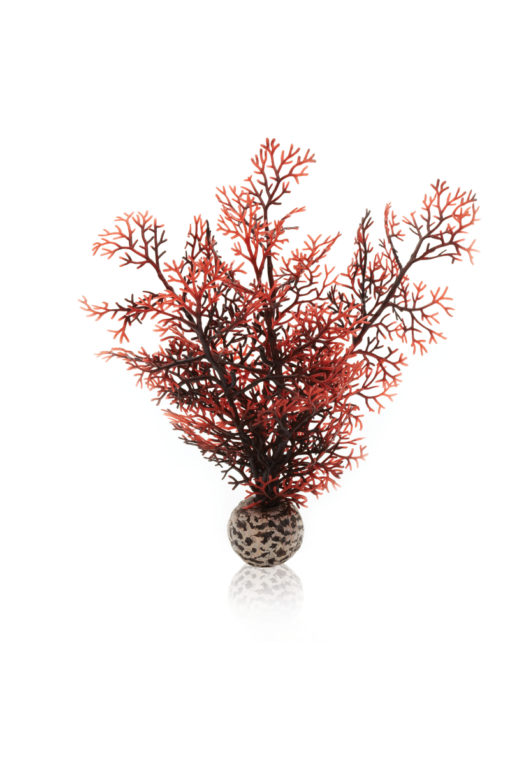 biOrb Sea fan small crimson PL13