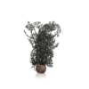 biOrb Sea fan small black PL37