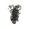 biOrb Sea fan medium black PL41