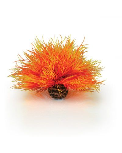 biOrb Aquatic sea lily flame PL29