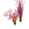 biOrb Plant set medium red & pink PL04