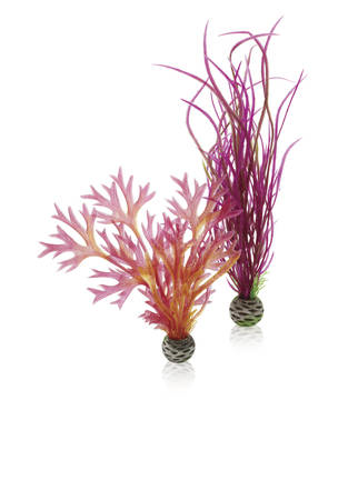 biOrb Plant set medium red & pink PL04