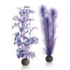 biOrb Kelp set medium purple PL24