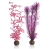 biOrb Kelp set medium pink PL26