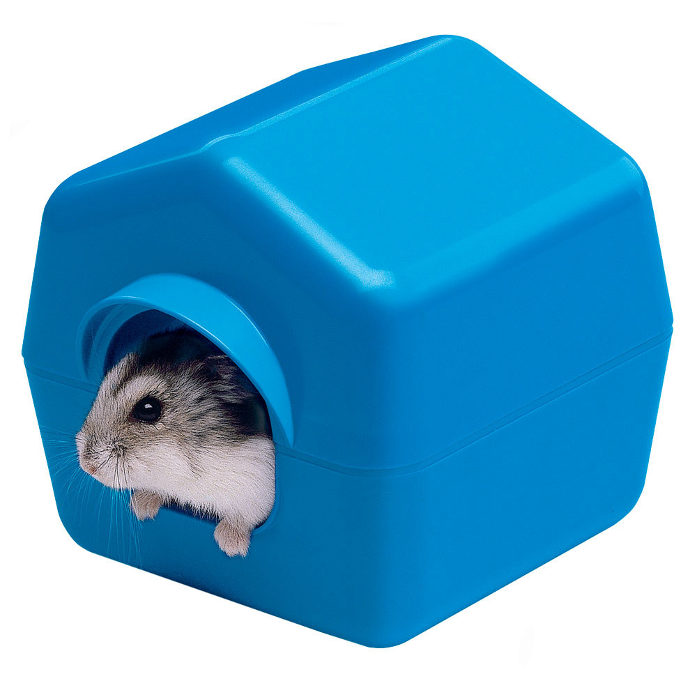 ISBA 4638 Hamster House