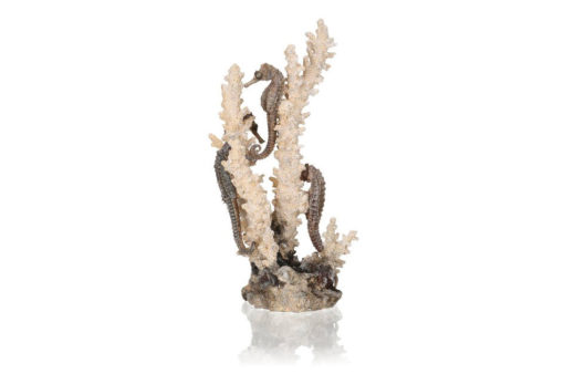 Biorb Seahorses on Coral Natural M