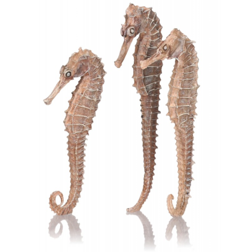 BiOrb Seahorses 3pk Natural