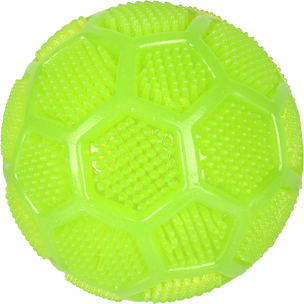 DT TPR KRICO DENTAL SQUEAKY BALL GREEN DIA 10CM(3)