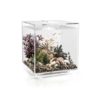 biOrb CUBE 30 LED Transparent