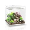 biOrb CUBE 30 LED White