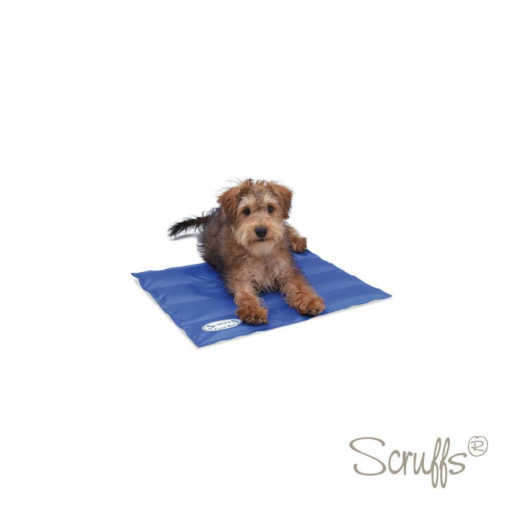 SCRUFFS COOLING MAT S BLUE (6)