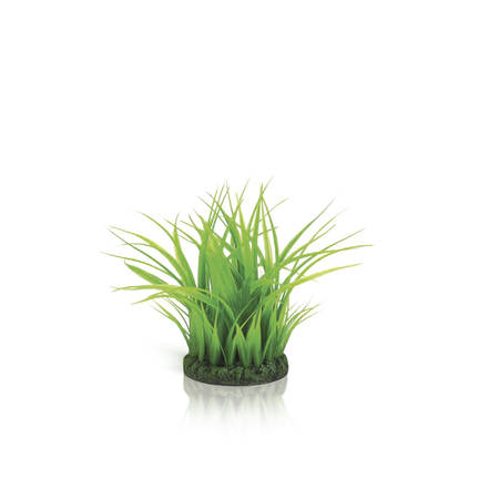 biOrb Grass ring small green PR04