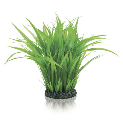 biOrb Grass ring large green PR06