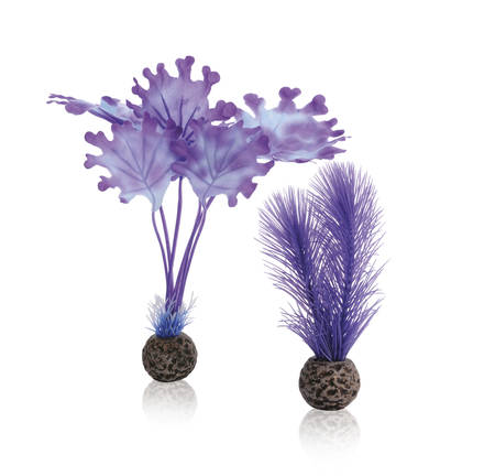 biOrb Kelp set small purple PL23