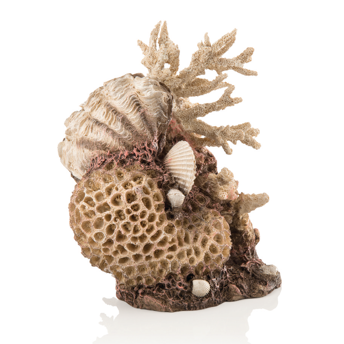 biOrb Natural coral-shells ornament