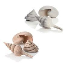 biOrb Sea shell Set 3 natural