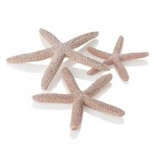 biOrb Starfish set 3 natural