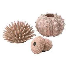 biOrb Sea urchins (Kråkeboller) set 3 natural