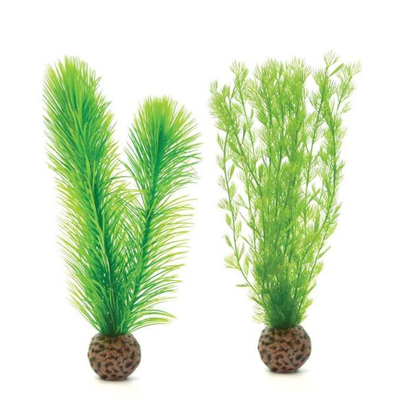 biOrb Feather fern set small green PL27