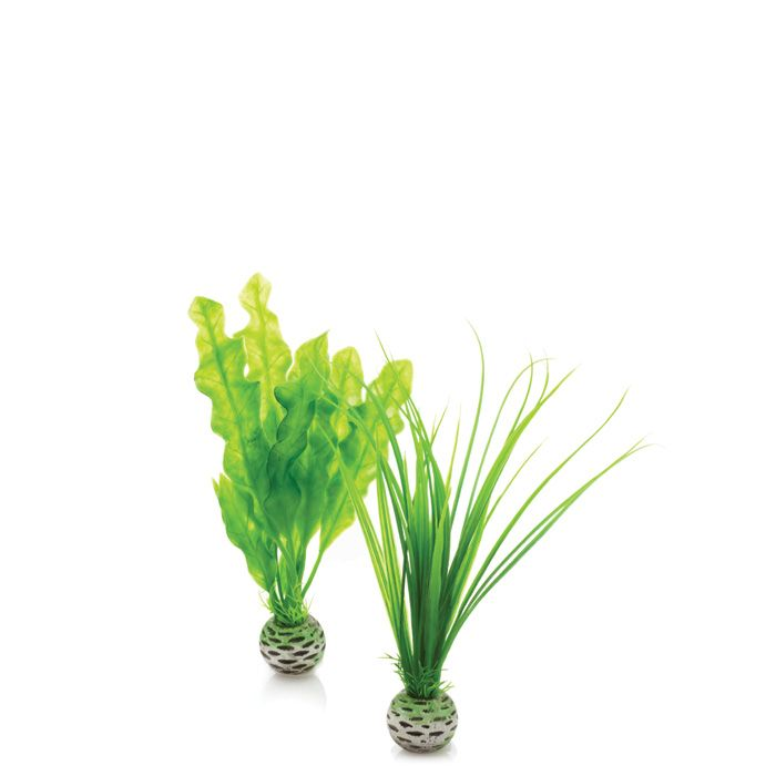 biOrb Easy plant set small green PL01 (4)