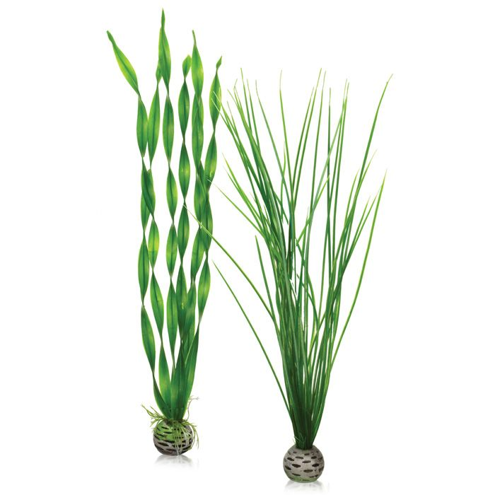 biOrb Easy plant set tall green PL03 (4)