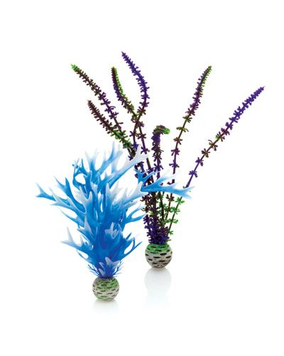 biOrb Plant set medium blue & purple PL05