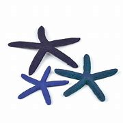 biOrb Starfish set 3 blue ORN 712