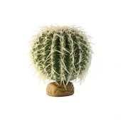 Bollkaktus Stor Ökenväxt Exoterra 15X15X15Cm