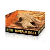 Grotta Buffel Kranium Exoterra