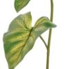 DRIPPER PLANT SMALL M. PUMP EXOTERRA
