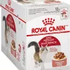 RC Feline Instinctive Gravy 12x85 g