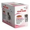 RC Feline Kitten Sterilised Jelly 12x85 g