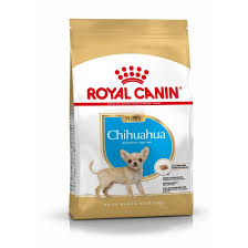 Chihuahua Junior 1,5 kg