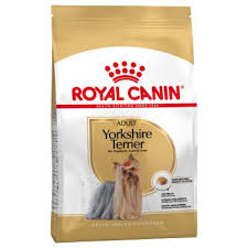 Yorkshire Terrier Adult 3kg