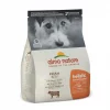 Holistic voksen hund XS-S Beef 2kg(3)