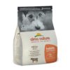 Holistic voksen hund XS-S Beef 2kg(3)