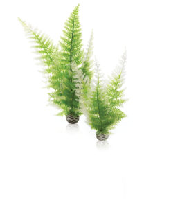 biOrb Aquatic winter fern set 2 PL10