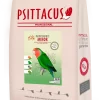 Psittacus Minor/ Små fugl Vedlikehold 12kg