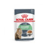 Royal Canin Digest Sensitive, 85g
