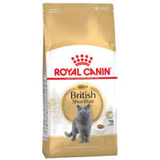 RC Feline British Shorthair Adult 2 kg