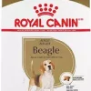RC Breed Beagle Adult 12 kg