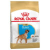 RC Breed Boxer Puppy 12 kg