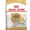 RC Breed Labrador Retriever Adult 5+ 12 kg