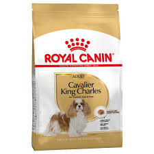 Cavalier King Charles Adult 7,5 kg