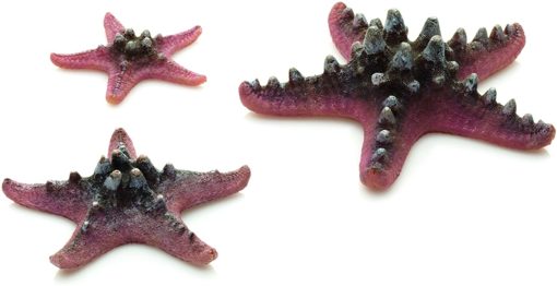 biOrb Sea Star set 3 pink ORN SFA102P