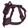 Non-Stop Ramble Harness, Purple, XS