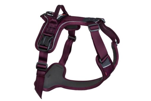 Non-Stop Ramble Harness, Purple, XL