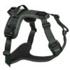 Non-Stop Ramble Harness, Green, XS